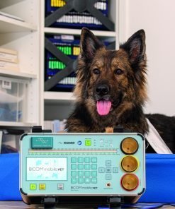BICOM bioresonance VET front screen display with dog